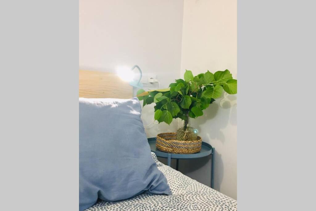 グラナダApartamento Centro Catedral Botanicoアパートメント エクステリア 写真