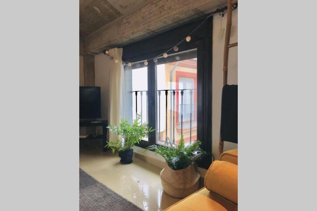 グラナダApartamento Centro Catedral Botanicoアパートメント エクステリア 写真